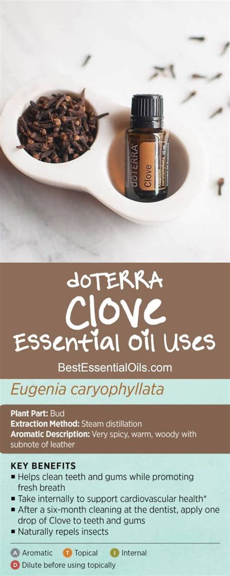 1 tablespoon of cooking oil. doTERRA Clove Essential Oil Uses with DIY and Food Recipes - | Clove essential oil, Essential ...