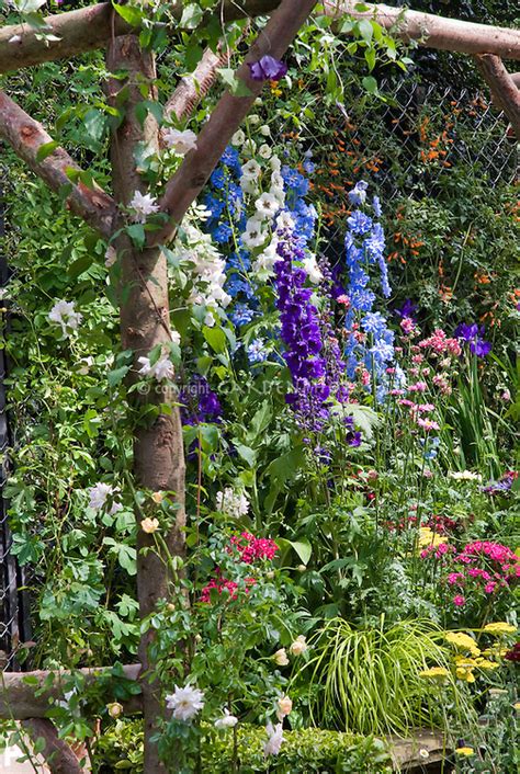 In the middle ages, poor english laborers supplemented their. Cottage garden with roses & delphinium | Plant & Flower ...