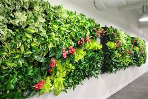 Living Walls Bring Your Space To Life Julie Bawden Davis