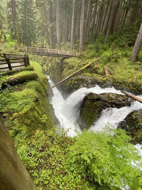 Explore Olympic National Park A Comprehensive Guide Hubpages