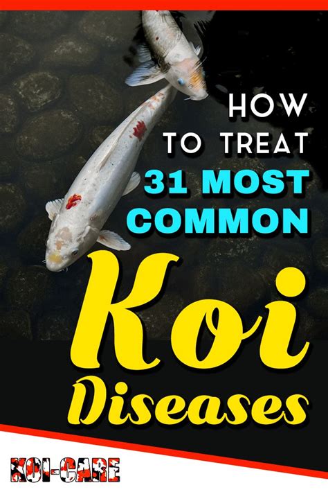 Koi Diseases And Their Treatments Learn How To Diagnose And Treat Koi