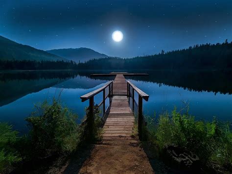Night Lake Painting