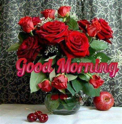 Morning Red Roses