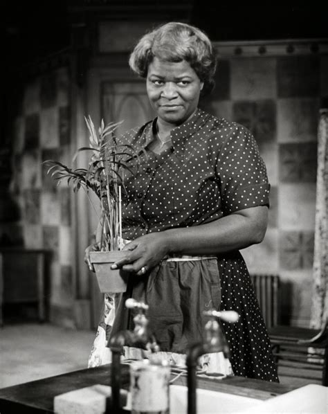It is based on the 2005 novel of the same title by pamela redmond satran. A Raisin in the Sun: Mama (Lena) Younger