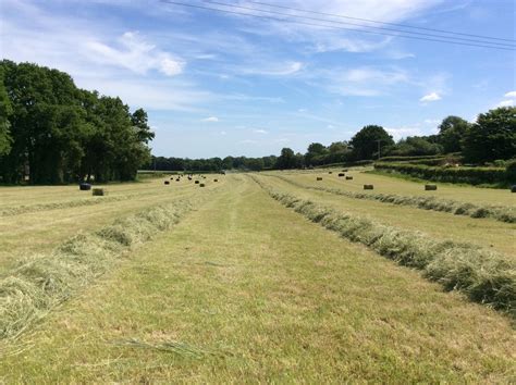 Hay And Haylage Belsham Farming