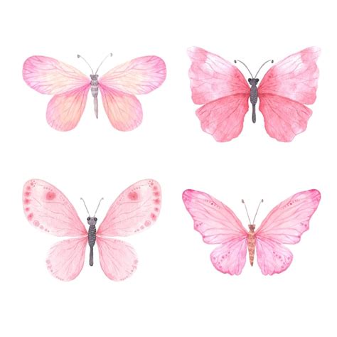 Premium Vector Set Of Pink Bright Watercolor Butterflies Clipart