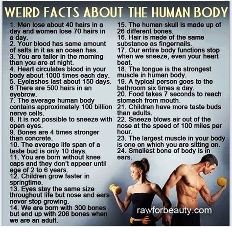 Human Body Facts Cool Human Body Facts Medical Facts Weird Facts