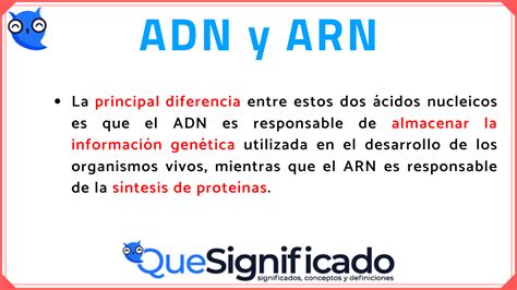 Diferencias Entre Adn Y Arn Comprende La Gen Tica B Sica