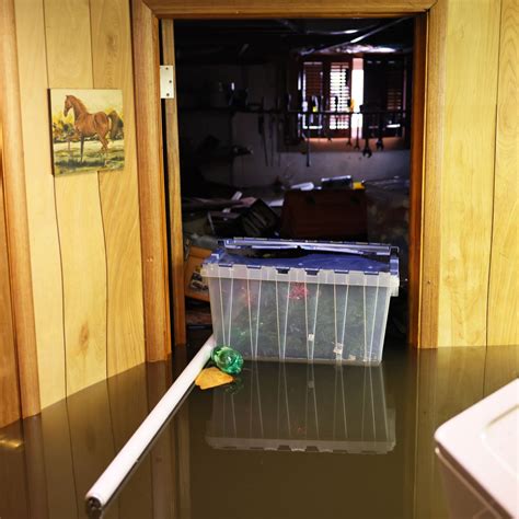 What To Do When Your Basement Is Flooding Openbasement