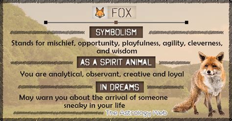 Fox Meaning And Symbolism The Astrology Web Spirit Animal Fox