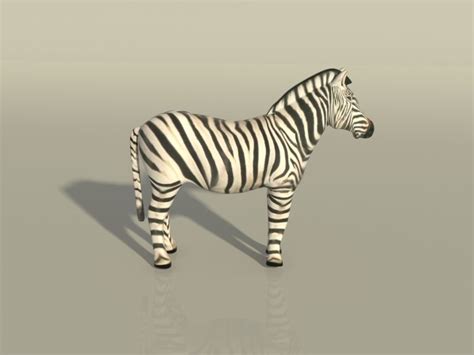 Zebra 3d Augmented Cgtrader