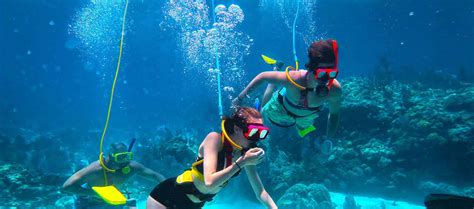 key west snorkeling snuba scuba diving excursions and training by padi