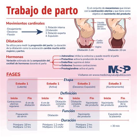 Trabajo De Parto Infografía