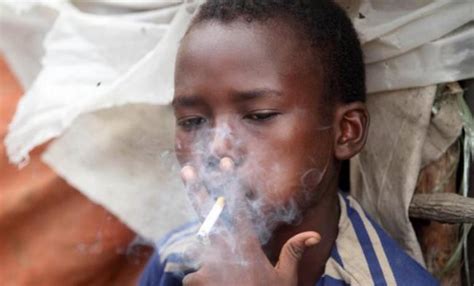 Gambar Anak Kecil Merokok Keren Kolbindv