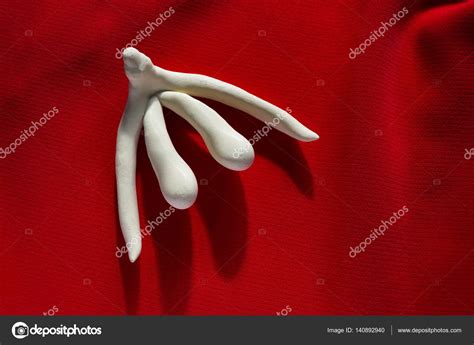 Ornamento Correspondiente A Tienda Human Anatomy Clitoris A La