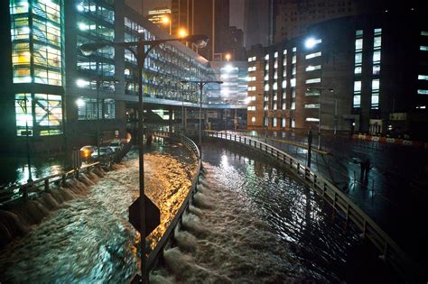 After Sandys New York Deluge A Flood Of Rats