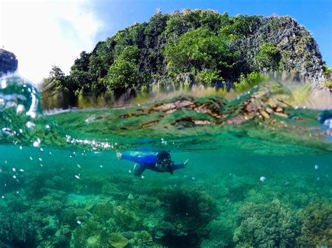 4 Days Misool Raja Ampat Love Lagoon Jellyfish Lake To Keramat Cave