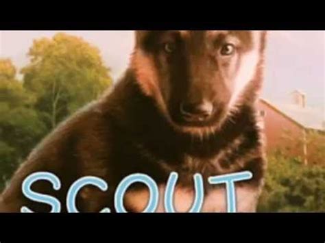 Puppy Place - YouTube