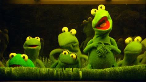 Muppets 101 Kermits Swamp Years 2002 Psycho Drive In