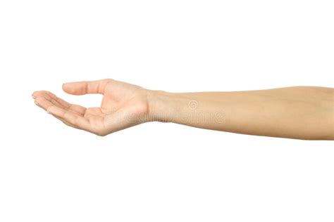 Female Hand Hand Pointing Up Stock Image Image Of Index Clicking