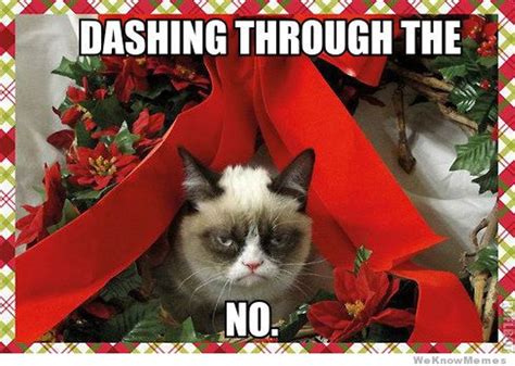 20 Funny Christmas Memes For The Holiday