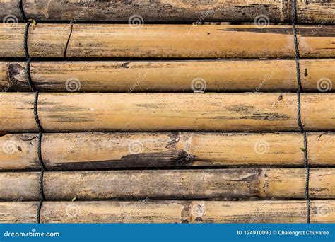 Bamboo Pile Bamboo Pile Texture Background Stock Photo Image Of Fence