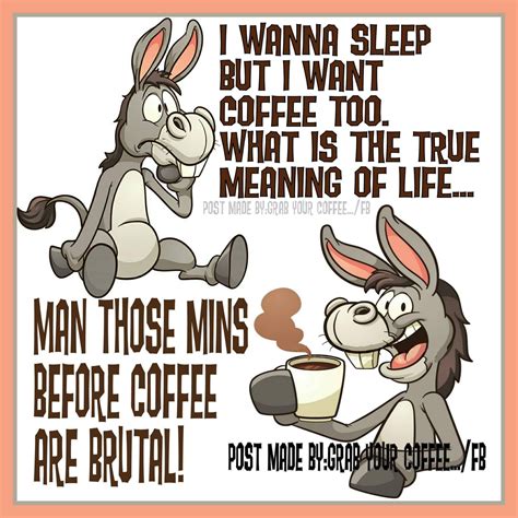 Donkey Memes Funny Coffee Quote Funny Coffee Quotes Coffee Humor