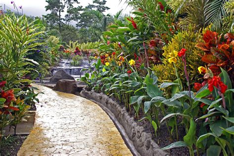 Tropical Garden Garden Waterfall Garden