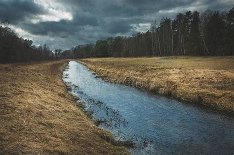 A Small River Flowing Through Dry Meadows In The Forest Stock Photo