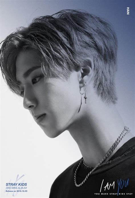See more ideas about baby squirrel, stray, lee know. Stray Kids Members Profile (Updated!)