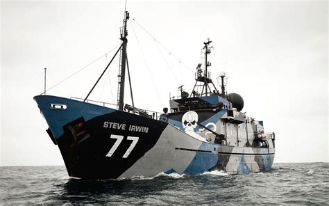 My Steve Irwin Sea Shepherd Wiki Fandom Powered By Wikia