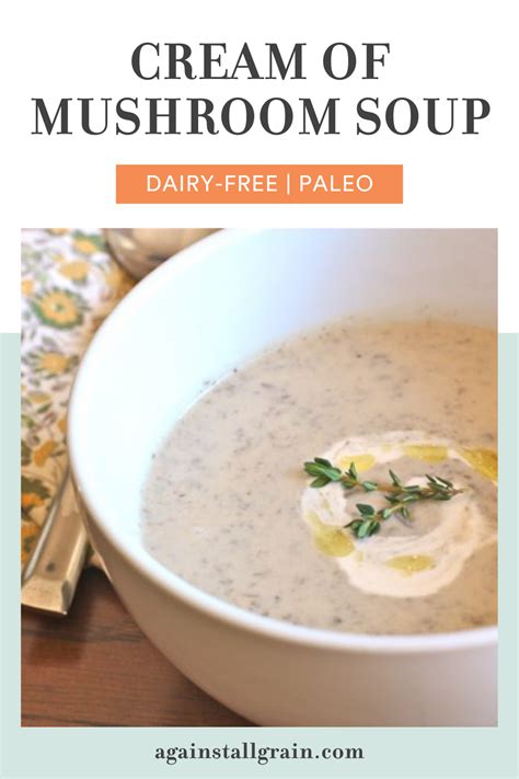 Dairy Free Cream Of Mushroom Soup SCD Paleo Vegan Option Recipe