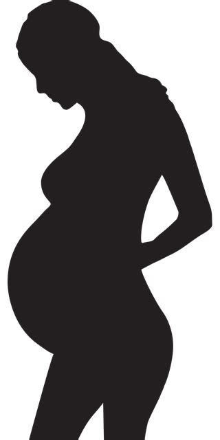 Kehamilan Hamil Ibu Gambar Vektor Gratis Di Pixabay Pixabay
