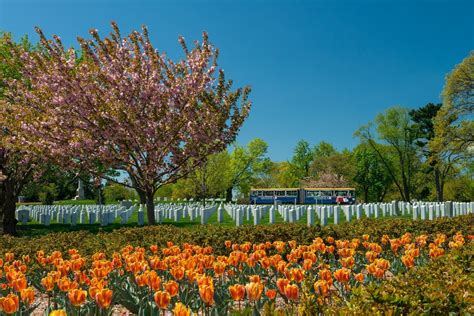 10 TOP Things to Do in Northern Virginia: Day Tours & Activities | Expedia
