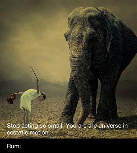 Elephant Motivational Quotes Quotesgram