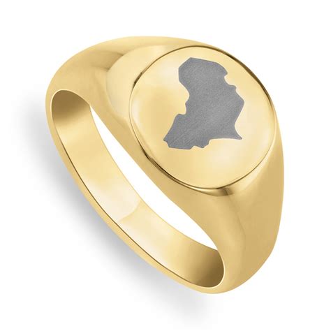 Stainless Steel Gold Toned Mens Round Africa Signet Ring