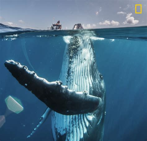 Eye Opening Entries From The 2019 National Geographic Travel Photo