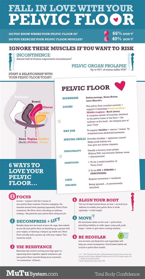 Pelvic Floor Exercises The Infographic Pelvic Floor Pelvic Floor