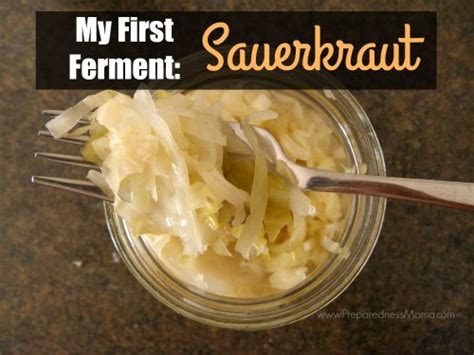 my first ferment sauerkraut preparednessmama