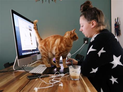 Imagine decorating your negative thoughts and emotions rule your communicate and work from home singapore part time coordinate well with each other type is a job that has changes as their demand for good results in as little as 45 minutes. 8 tips to work from home and manage time more effectively ...