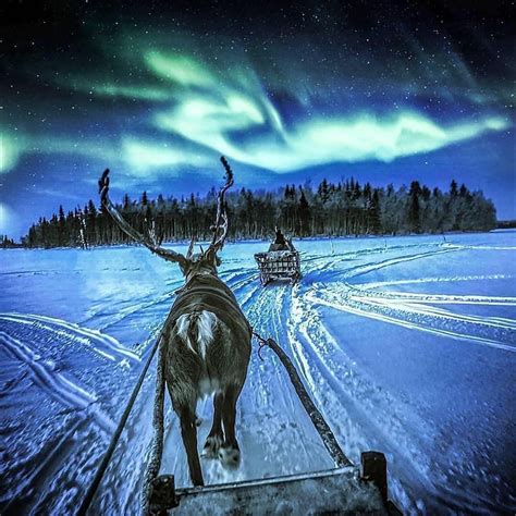 Aurora Borealis Observatory On Instagram Reindeer Ride Under The