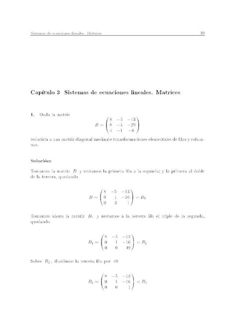 Ejercicios Resueltos Sistemas De Ecuaciones Lineales Matrices