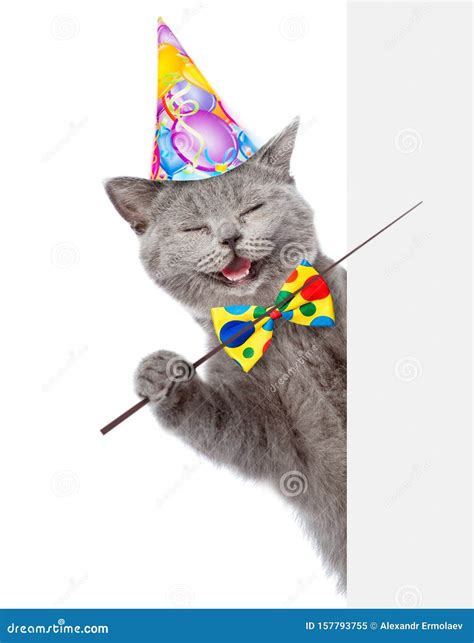 Happy Cat In Birthday Hat Holding A Pointing Stick And Points On Empty