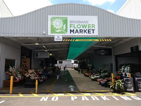Brisbane Market Flowers 385 Sherwood Rd Rocklea QLD 4106 Australia