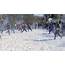 Massive Snowball Fight Breaks Out In DC  The Washington Post