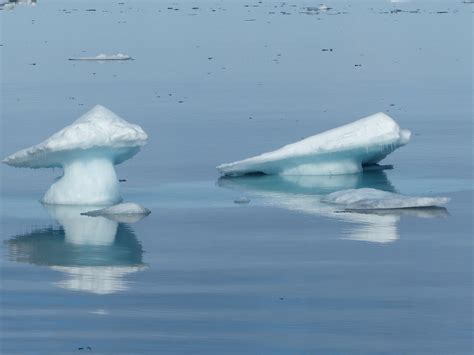 Free Images Cold Iceberg Icy Tundra Freezing Ice Floes Arctic
