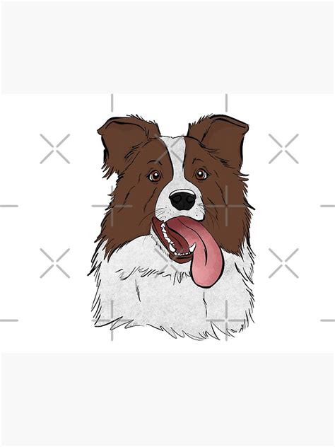What A Happy Border Collie I Poster For Sale By Rmcbuckeye Redbubble