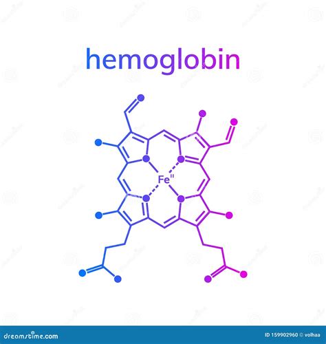 Hemoglobin Haemoglobin Chemical Formula Stock Vector Illustration Of