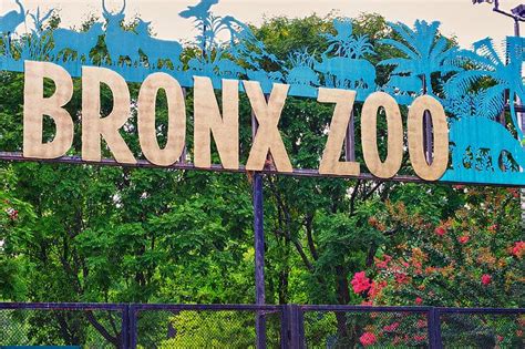 Visita Al Bronx Zoo Di New York Come Arrivare Prezzi E Consigli