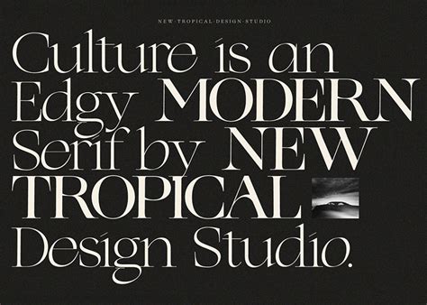 100 Best Modern Serif Fonts 2022 Modern Serif Fonts W Vrogue Co